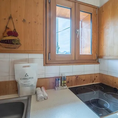 Appartement En Centre Station, Animaux Admis, Proche Pistes De Ski - Fr-1-645-45